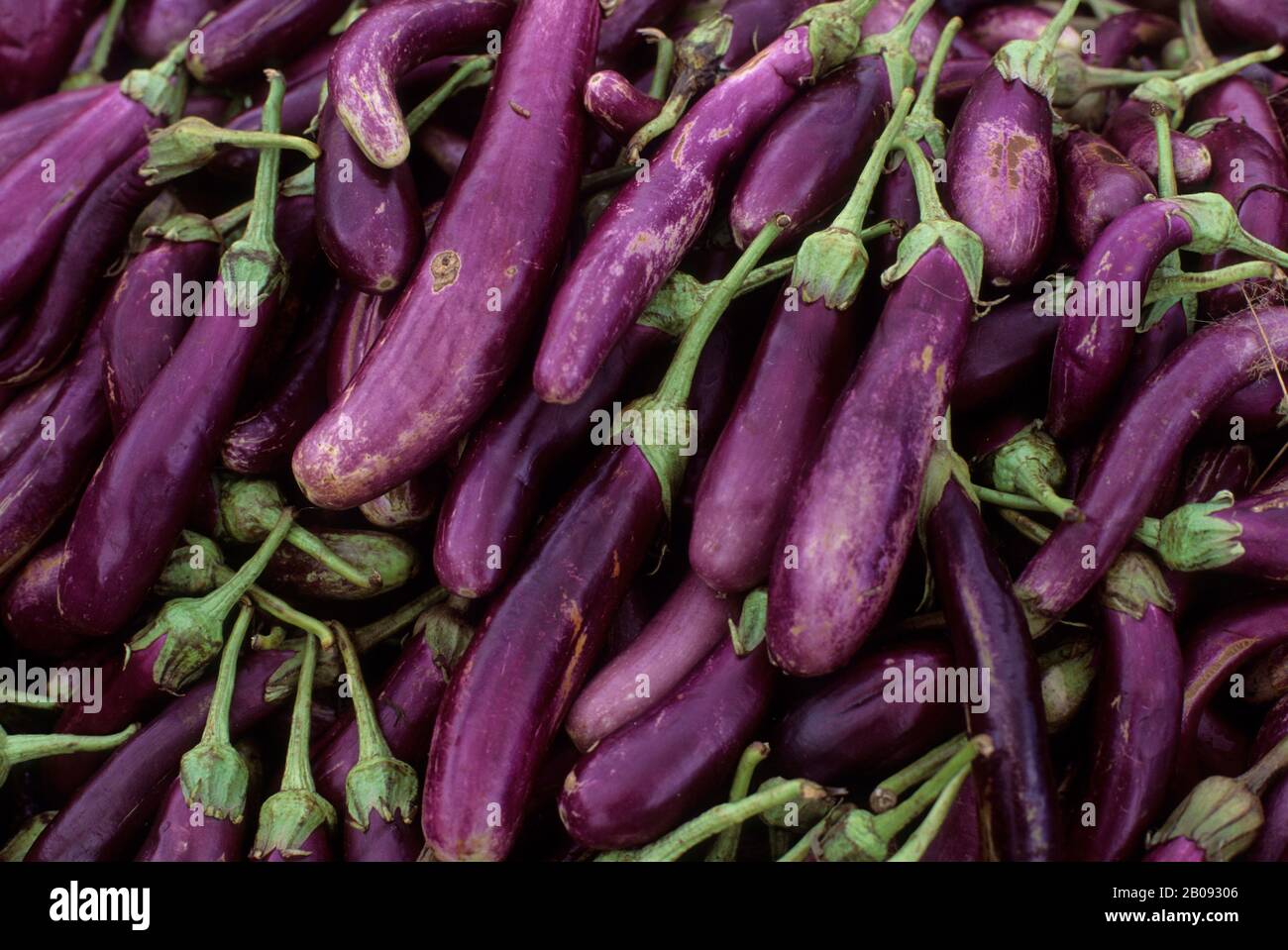 MAURITIUS, CUREPIPE, MARKET SCENE WITH EGGPLANTS Stock Photo - Alamy