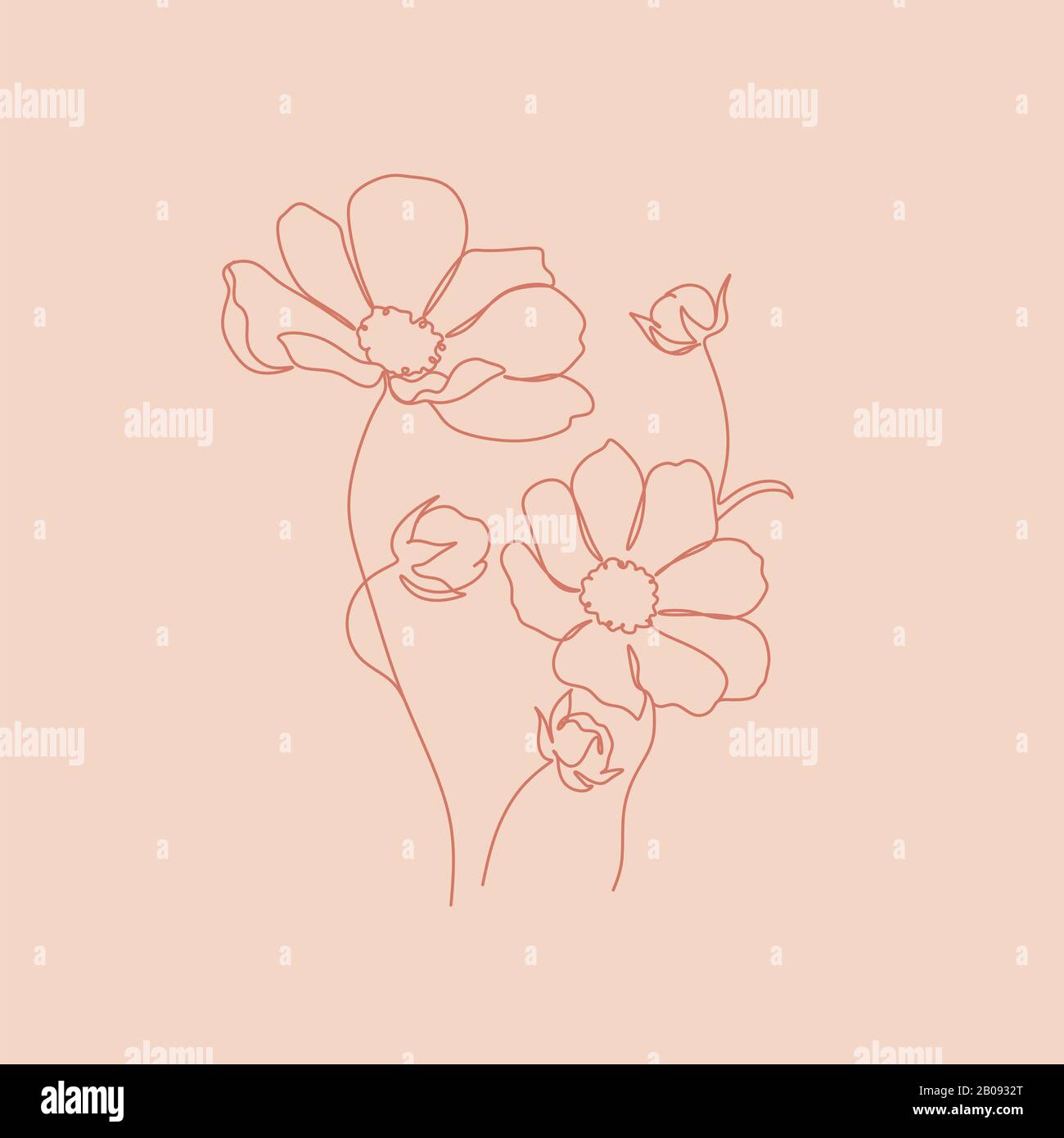 Botanical Sketch Vector Illustration. Nature vector Line drawing. Flower line illustration. Line art. Herb logo.  One line. Nature cosmetics logo. Stock Photo