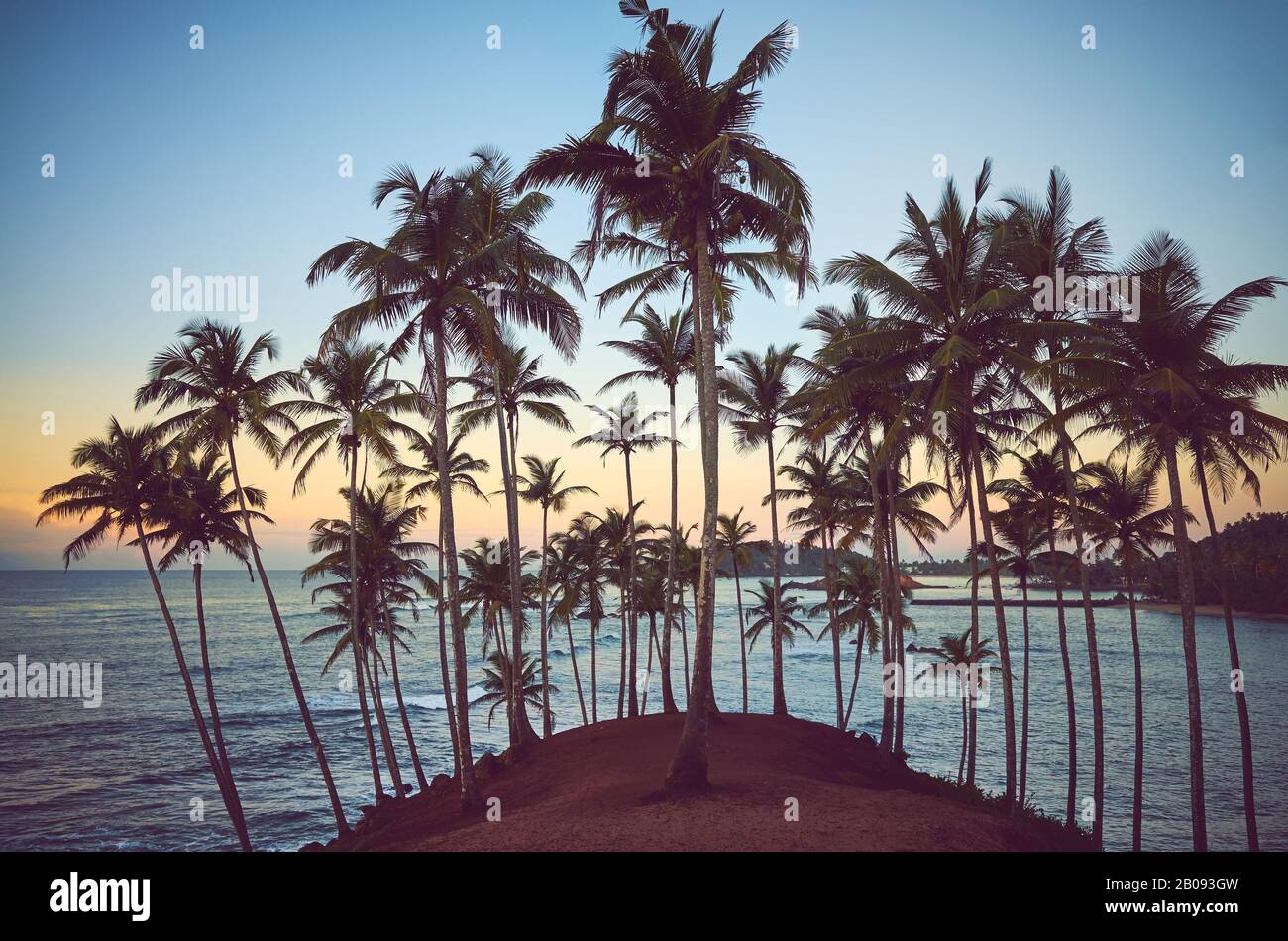 Sunrise On The Beach With Palm Trees