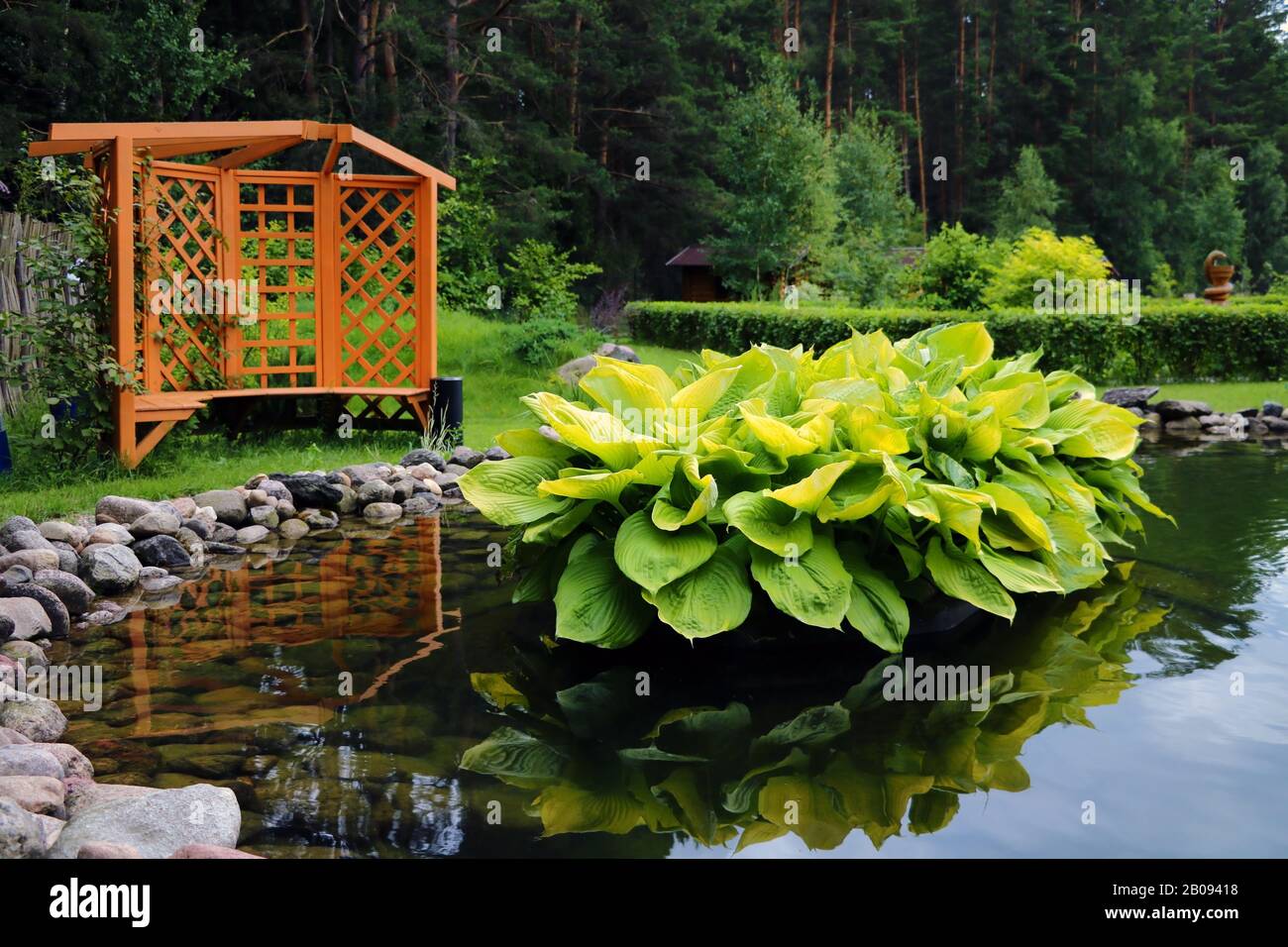 Small garden pond summer hi-res stock photography and images - Alamy