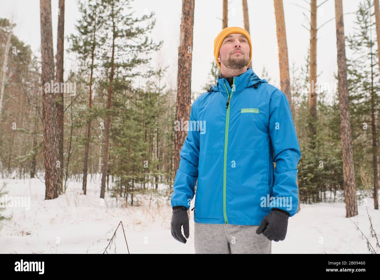 Handsome young man in blue jacket looking around and enjoying winter stroll in forest Stock Photo