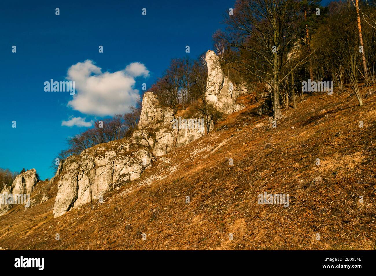 Rocks and castle of Ojcow National Park, Poland 2020 Stock Photo - Alamy