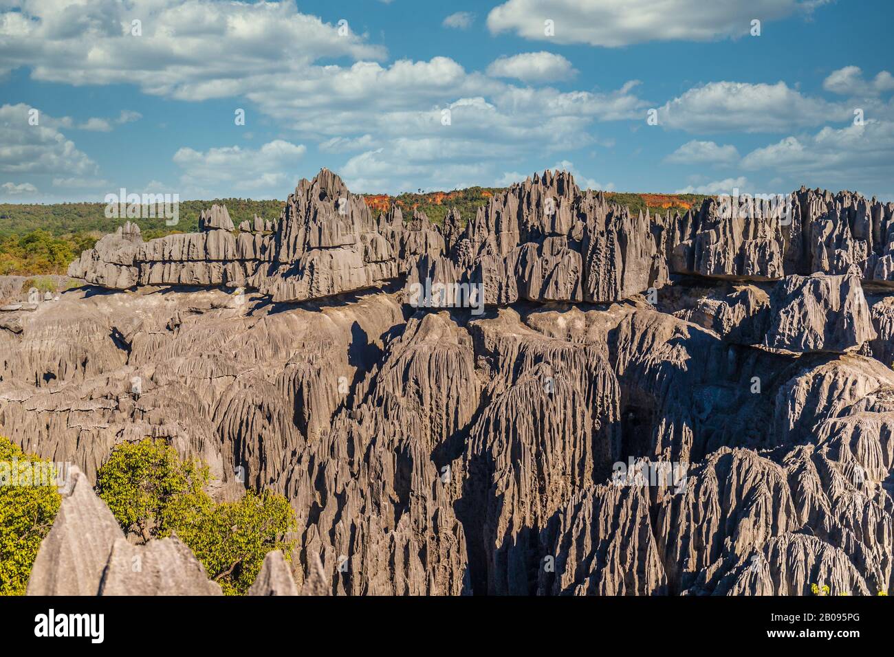 Tsingy De Bemaraha National Park, Madagascar Stock Photo - Alamy