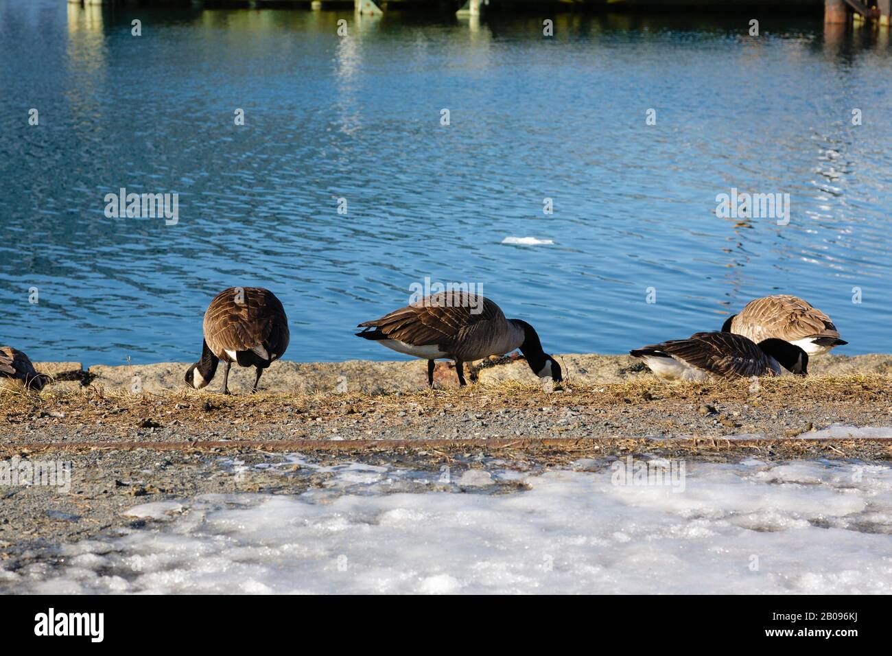 New salem state historic site hi-res stock photography and images - Alamy