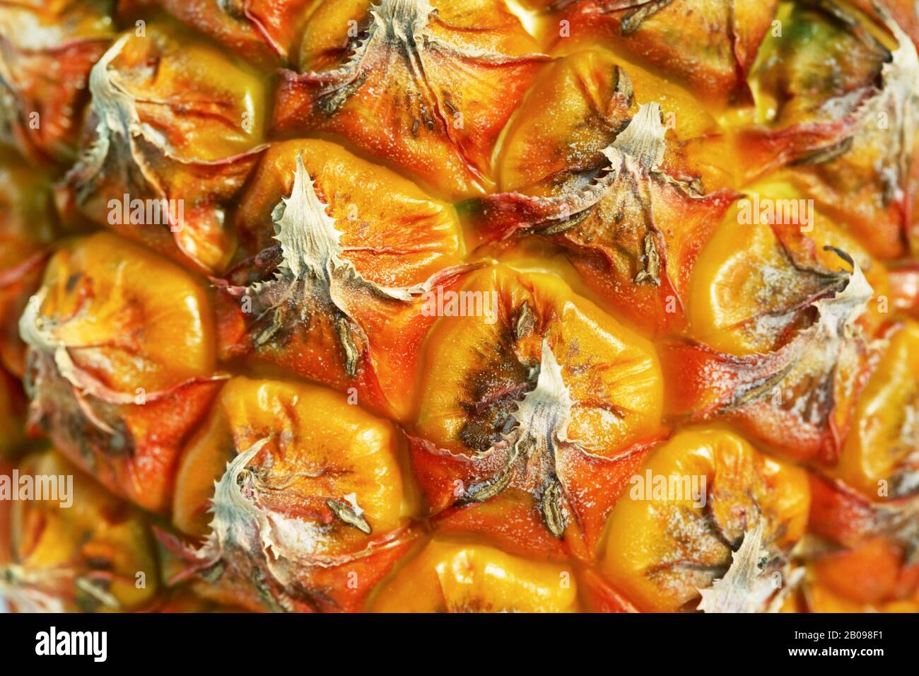 Ripe pineapple texture. Close up view. Tropic background. Stock Photo
