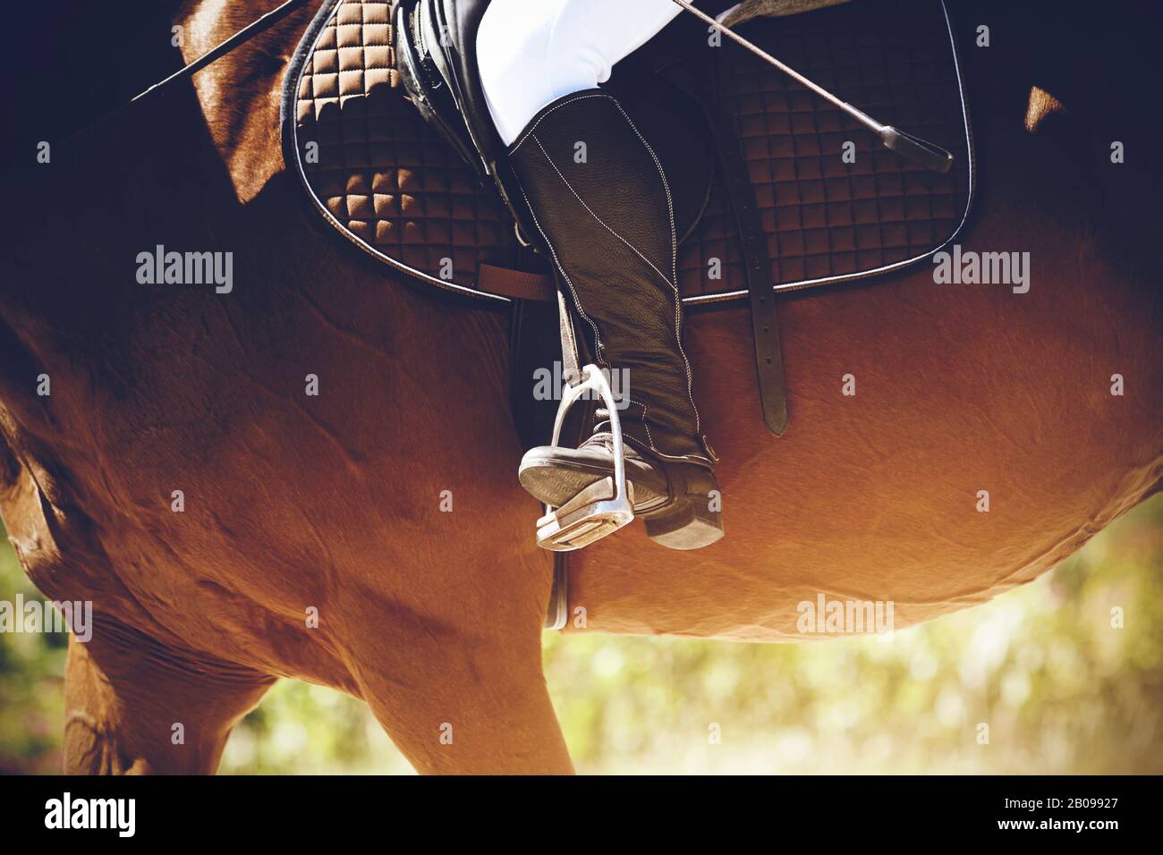 Horse Riding Foot Rest In a black boot, the foot of a rider bases on a stirrup, sitting ...