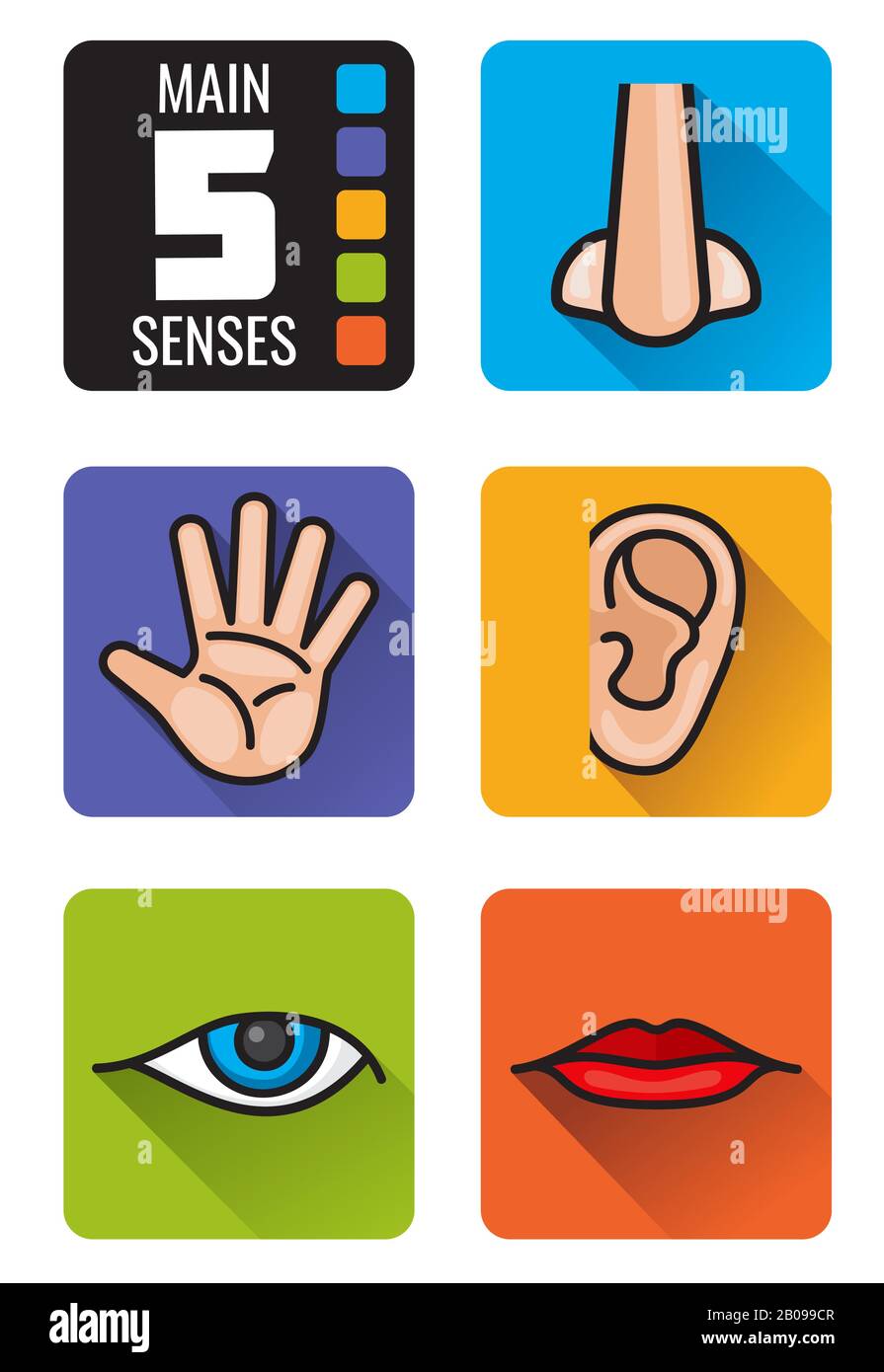 Five senses, nose, hand, mouth, eye, ear vector icons set. Set of human senses smell sight, hearing taste and touch illustration Stock Vector