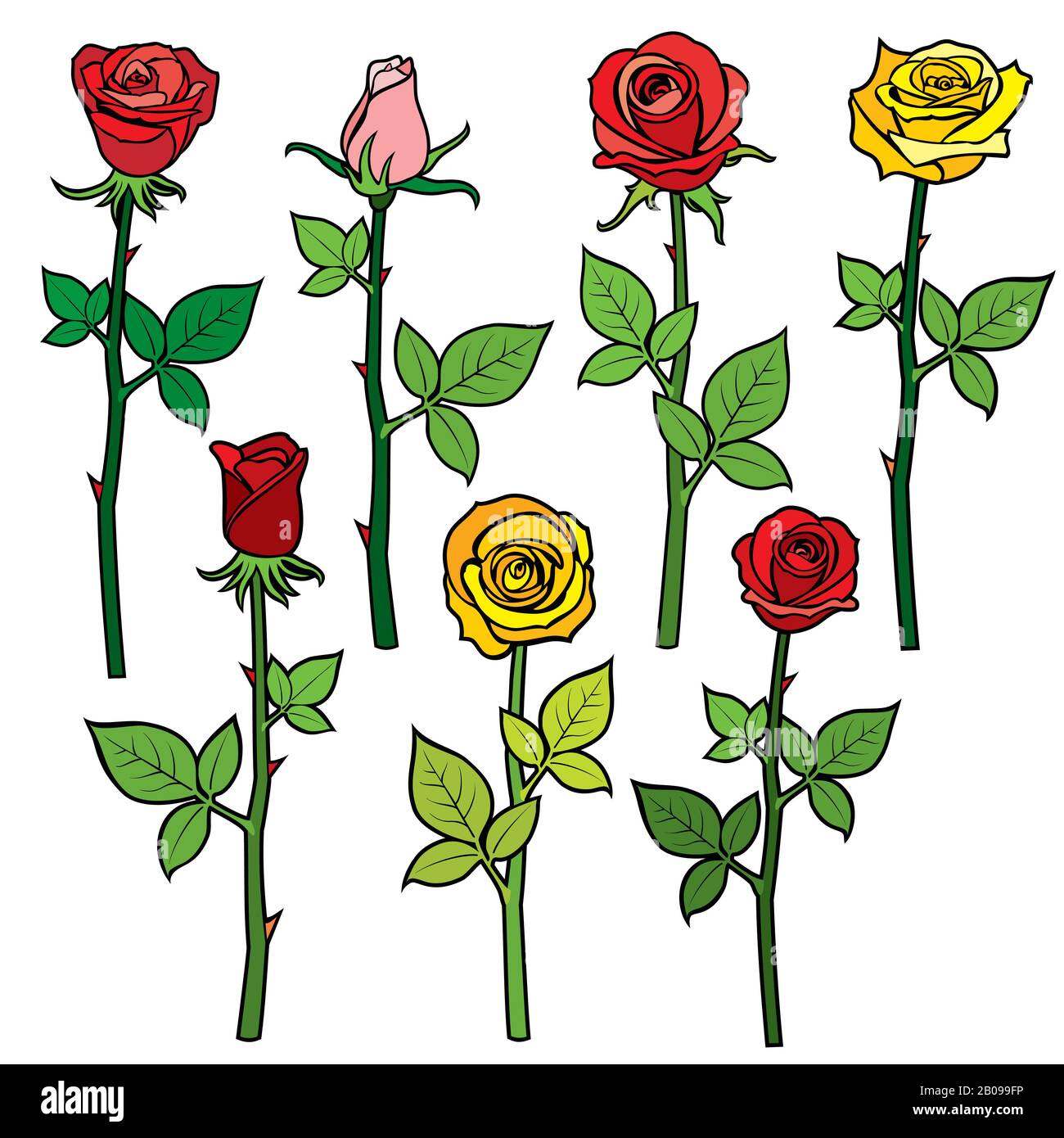 Roses with flower buds isolated on white. cartoon vector illustration. Colored flowers rose yellow and red, floral cartoon plant, blossom roses illustration Stock Vector