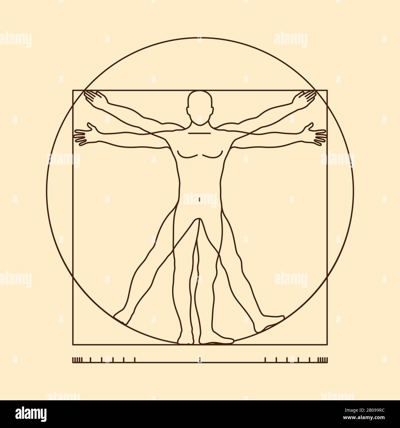 Leonardo da vinci vitruvian man form similar vector. Illustration of body man, classic proportion man Stock Vector