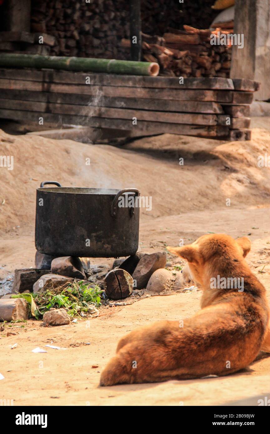 dog sitting by the fire. asian cooking place. Poor and easy living in Laos Stock Photo