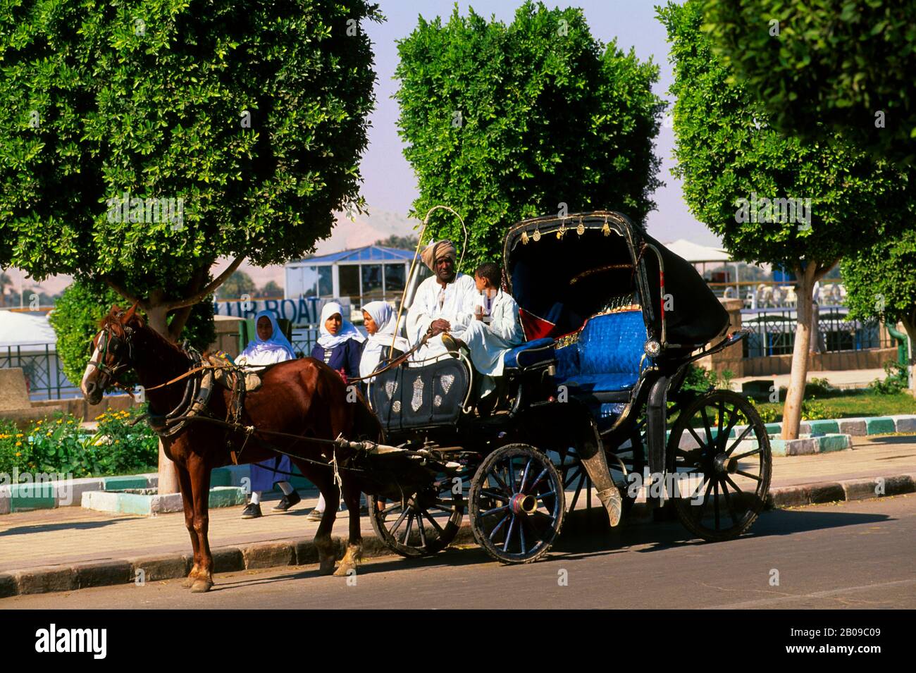 EGYPT, NILE RIVER, LUXOR, HORSE CARRIAGE Stock Photo Alamy