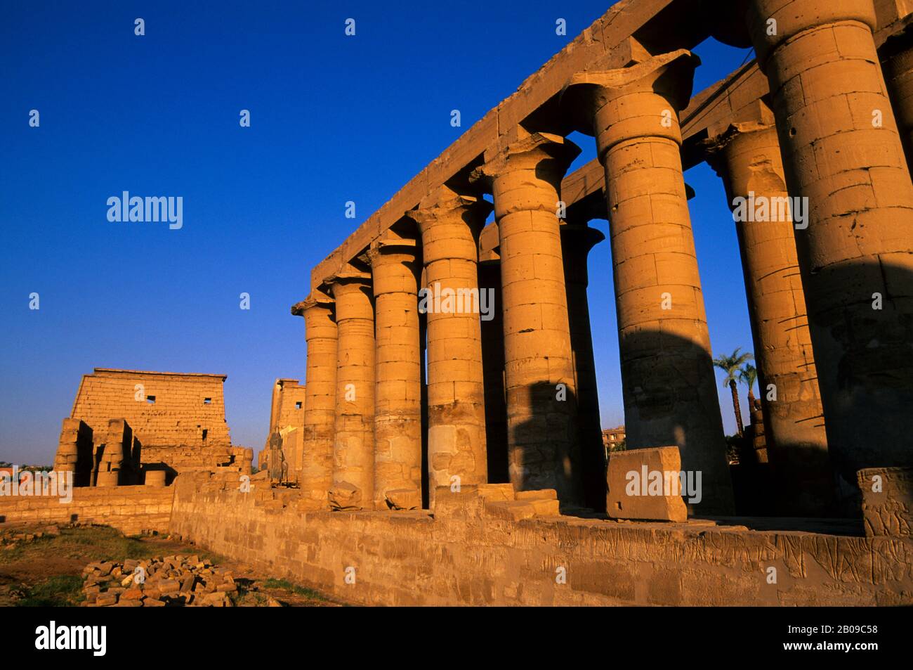 EGYPT, NILE RIVER, LUXOR, TEMPLE OF LUXOR, GREAT COLONNADE Stock Photo