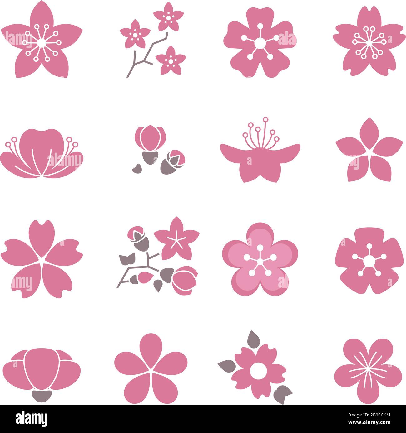 Cherry pink flower, spring sakura blossom vector icon set. Blossom sakura flower, branch of bloom sakura illustration Stock Vector