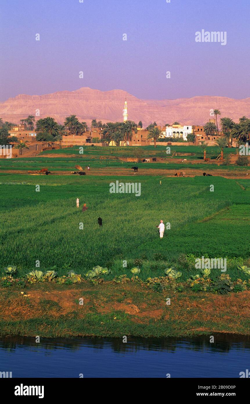 Nile river fields egypt hi-res stock photography and images - Alamy