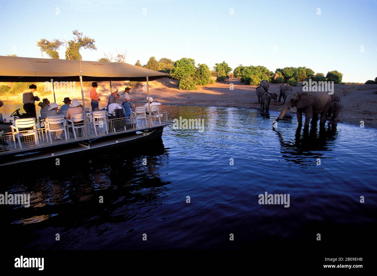 Botswana river cruise hi-res stock photography and images - Alamy