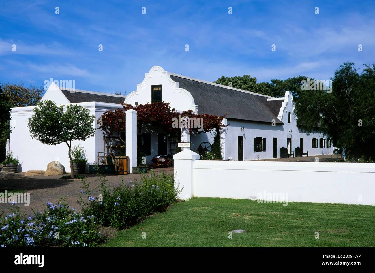 SOUTH AFRICA, NEAR CAPE TOWN, STELLENBOSCH WINE COUNTRY, SPIER ESTATE