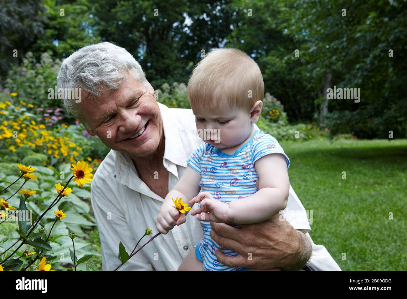 70 year old Grandfather holding his 7 month old Grandson in a garden exploring nature and holding a yellow flower Stock Photo