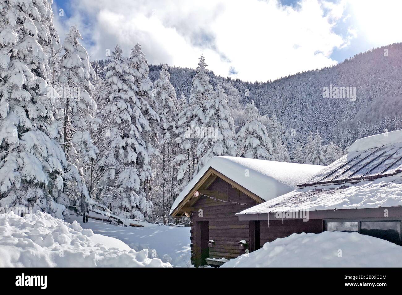The wooden house, trees with snow in Japan mountains Stock Photo