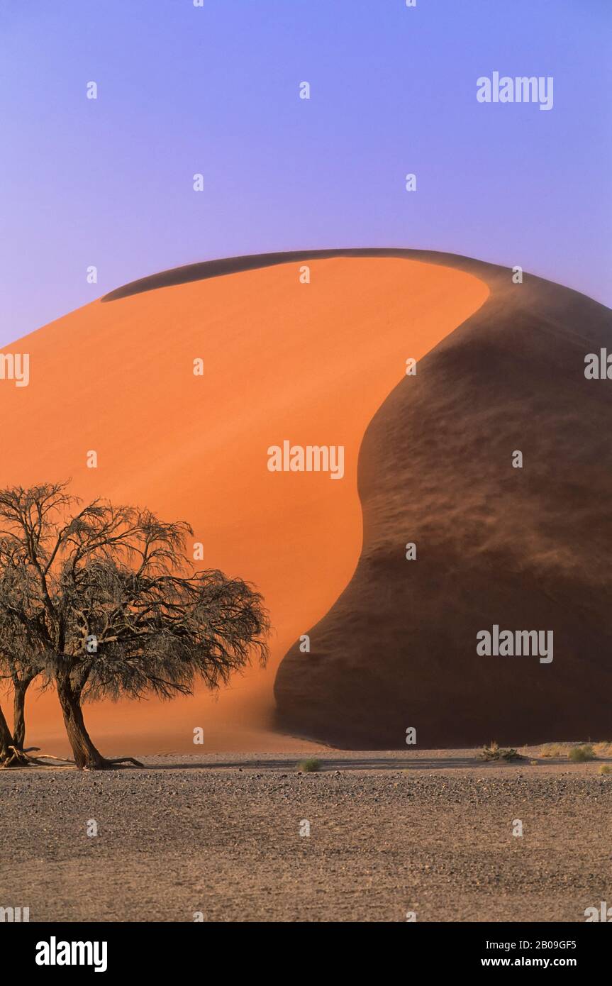 Sossusvlei national park hi-res stock photography and images - Alamy