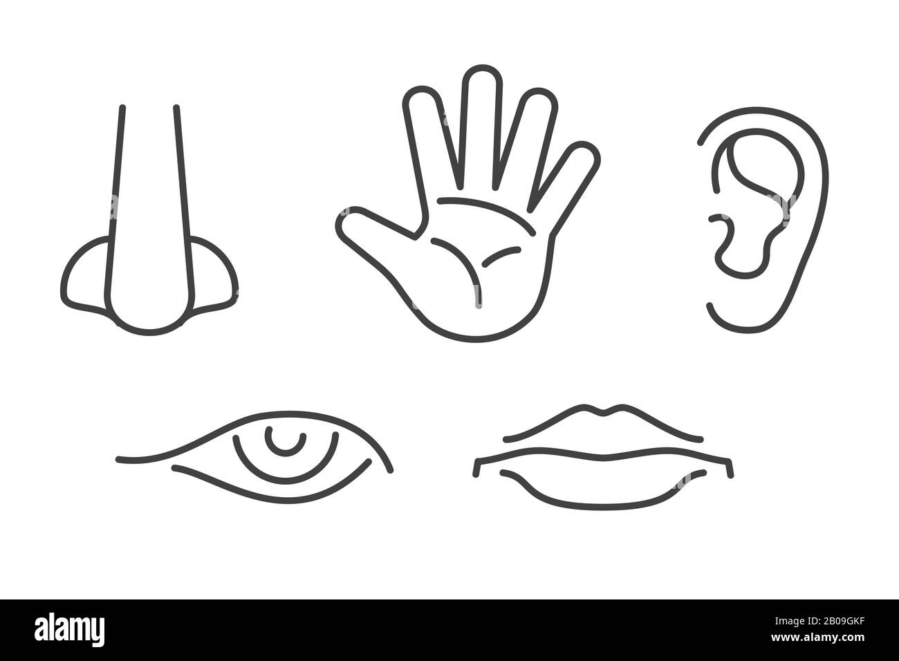 Five senses vector icons set isolated white. Human sense icon illustration Stock Vector