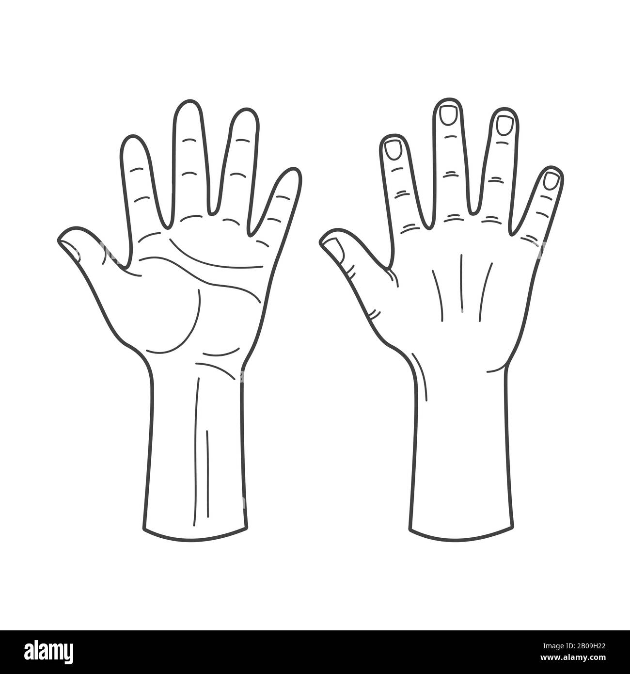 hand outline vector