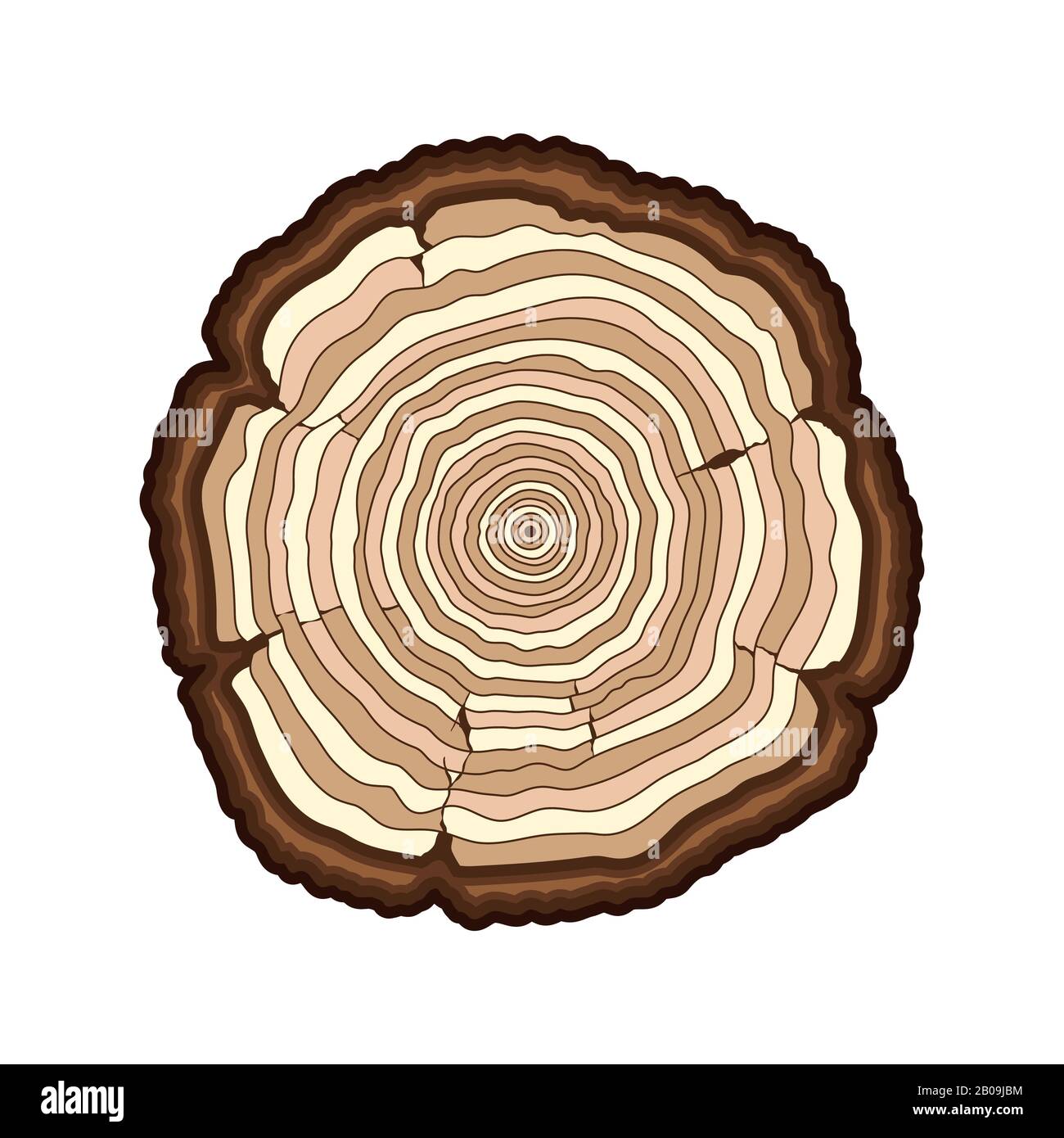 Vector brown tree rings cut trunk isolated over white. Stump section illustration Stock Vector