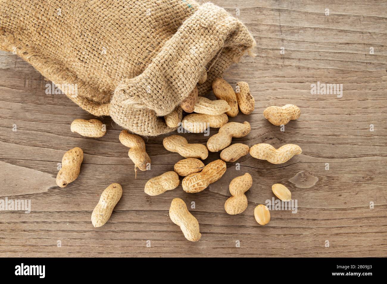Burlap sack and Peanuts on rustic wooden table. Arachis hypogaea Stock Photo