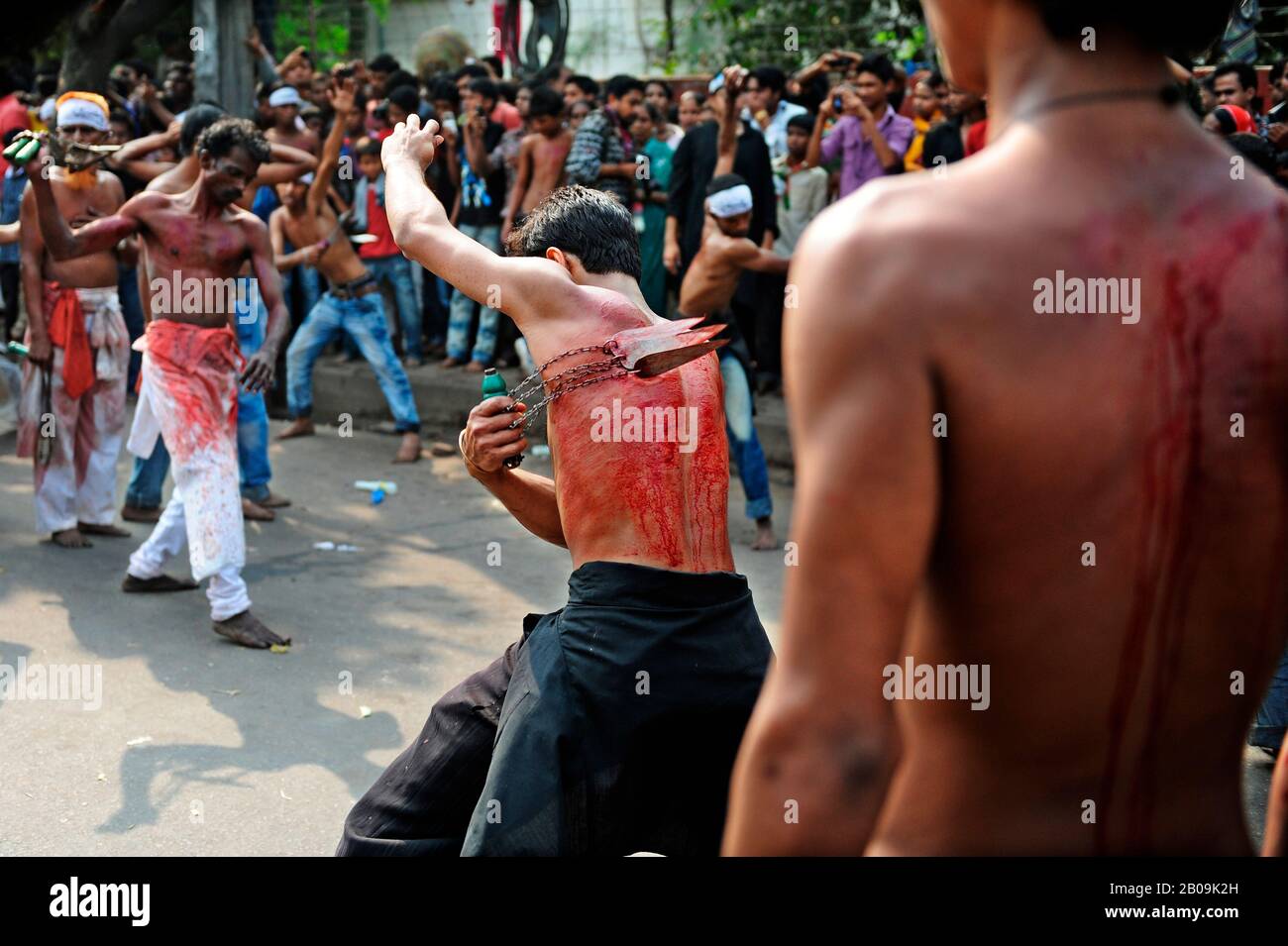 Young men from the Muslim Shia community flagellate themselves during a mourning procession of the holy Ashura on the 10th day of the holy month of Muharram. Ashura marks the martyrdom of Hazrat Imam Hassan and Hussain the grand sons of Prophet Muhammad, who were killed in a battle. Dhaka, Bangladesh. December 6, 2011. Stock Photo