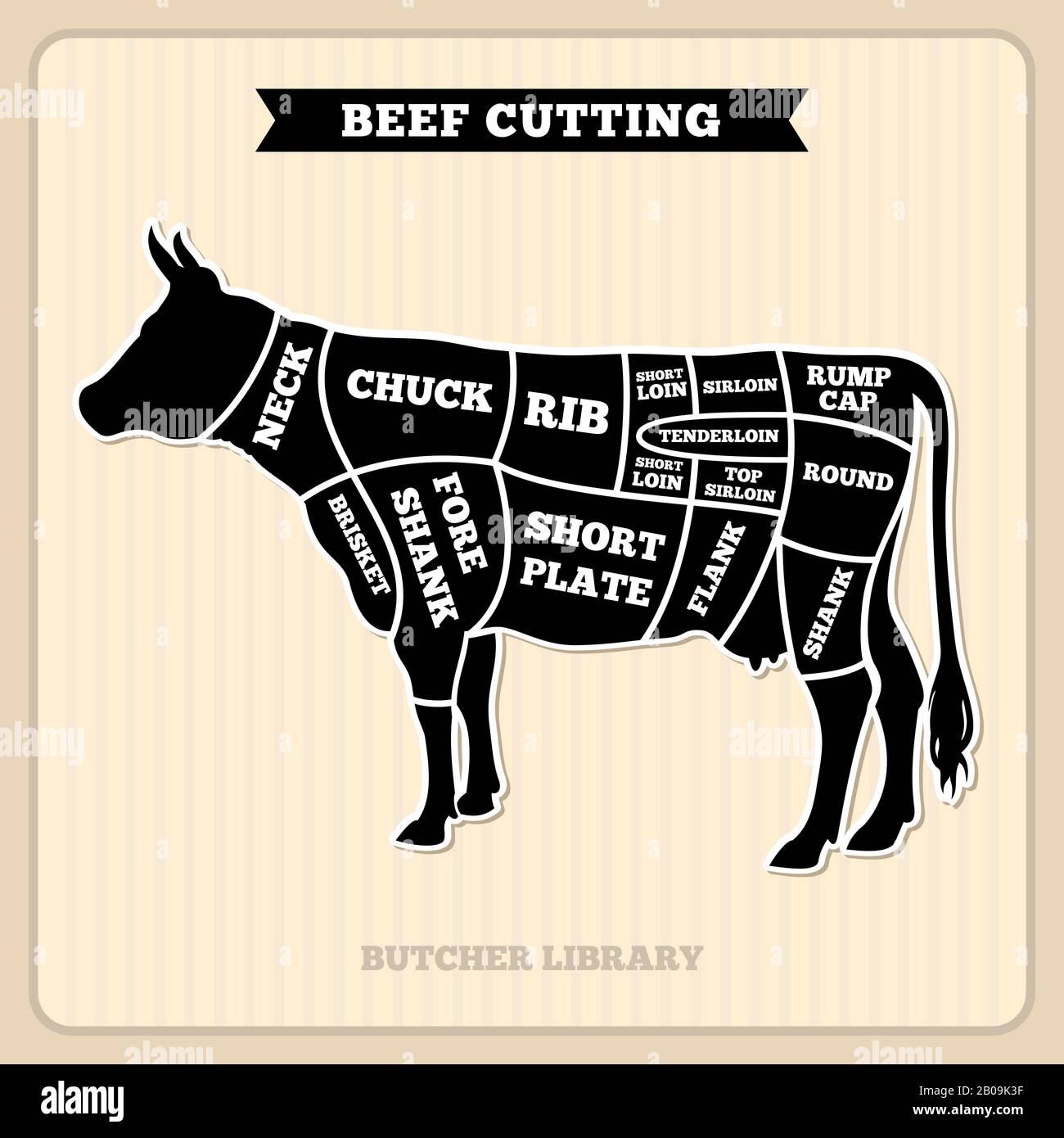 Beef, cow cuts butcher vector diagram. Placard with section cow, illustration of cow meat Stock Vector