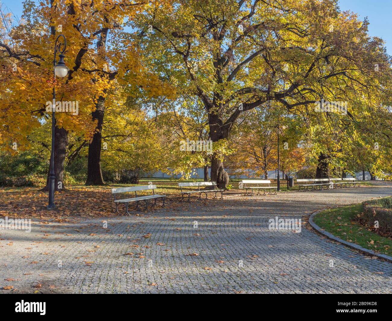 Poland warsaw lazienki park autumn hi-res stock photography and images -  Page 3 - Alamy