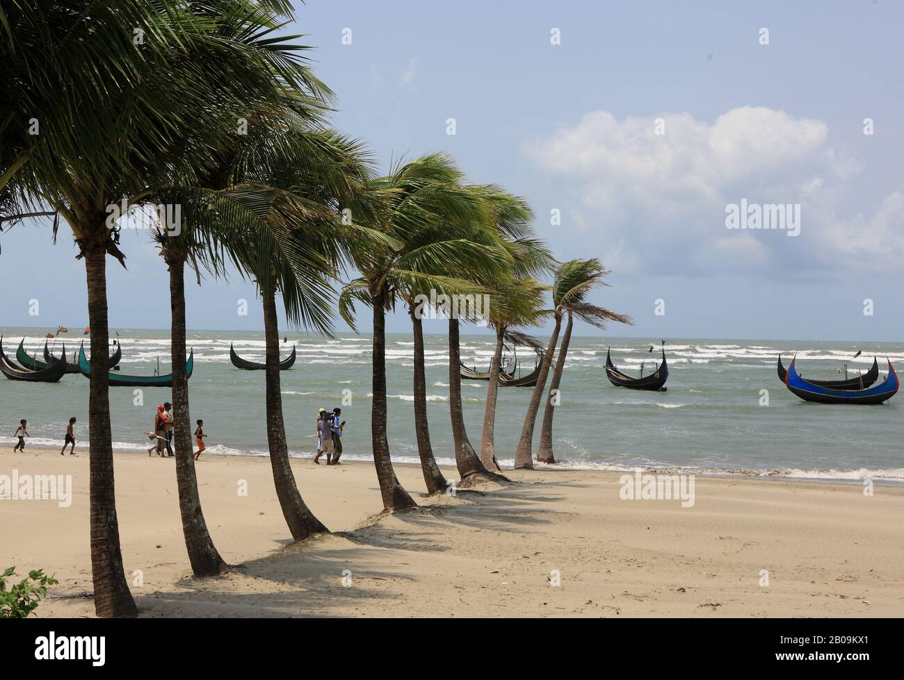 Coconut trees at  the world's longest beach in Cox's Bazar, Bangladesh. 2010. Stock Photo