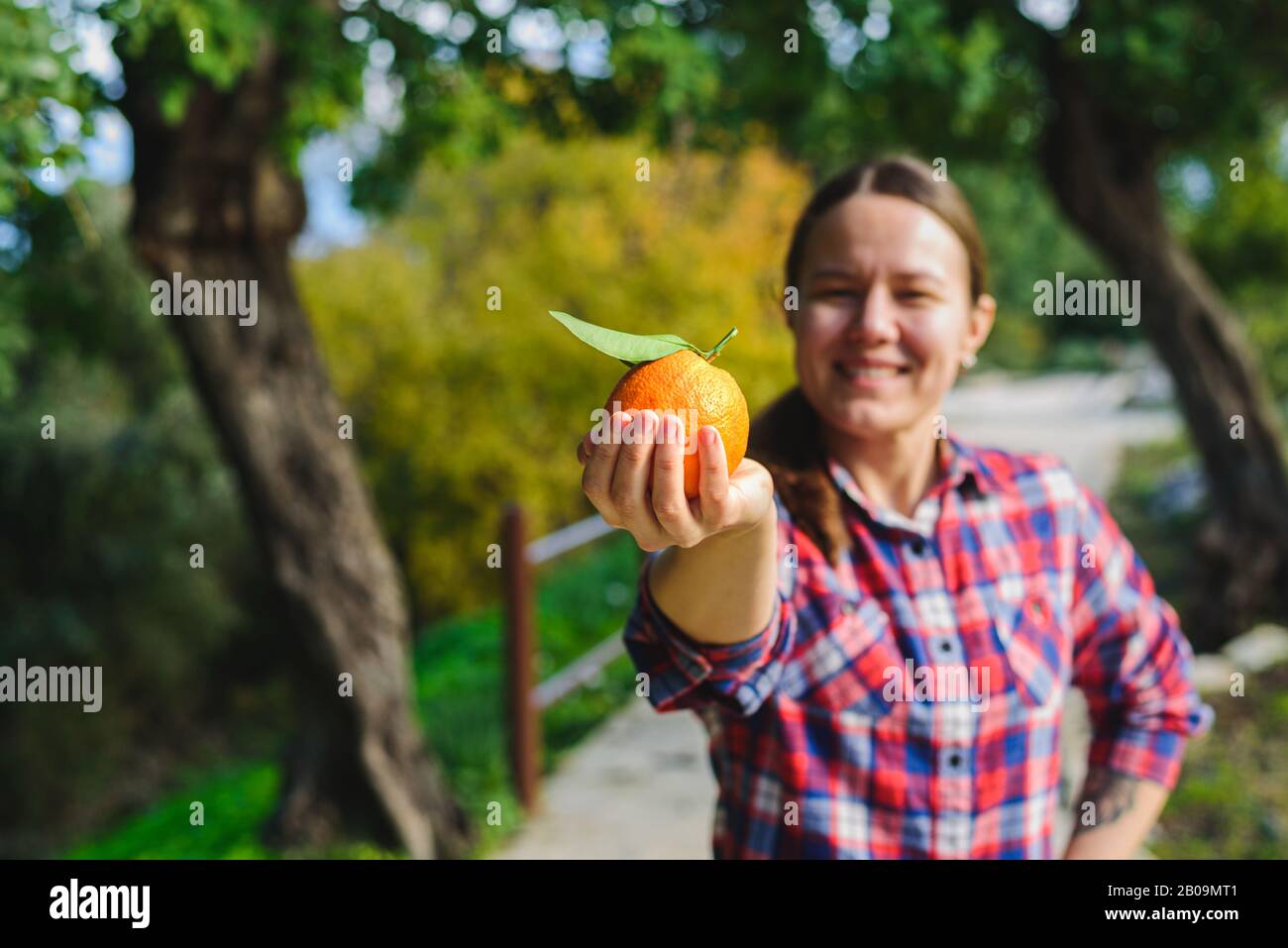 Young smiling woman with fresh just picked orange. Cyprus Stock Photo