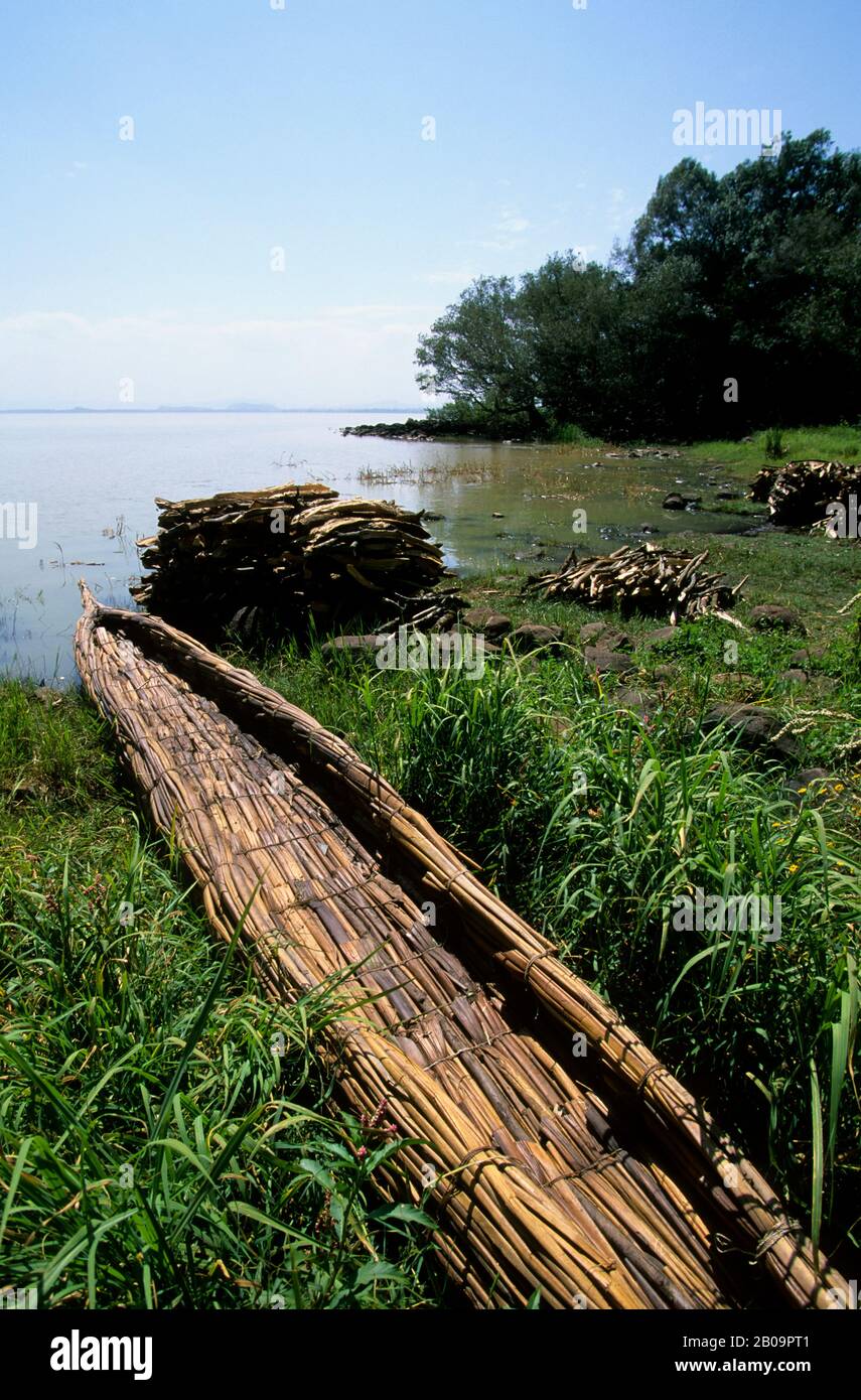 ETHIOPIA, BAHAR DAR, LAKE TANA, PAPYRUS BOAT WITH FIREWOOD IN BACKGROUND Stock Photo