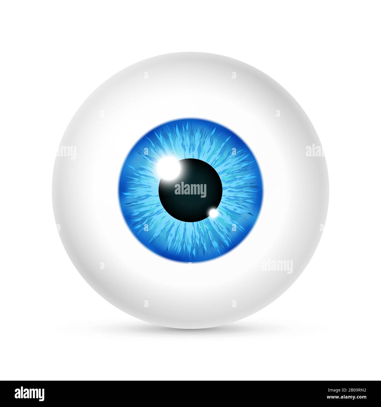 Vector realistic human eyeball. Eye with bright blue, illustration of eye ball isolated on white background Stock Vector