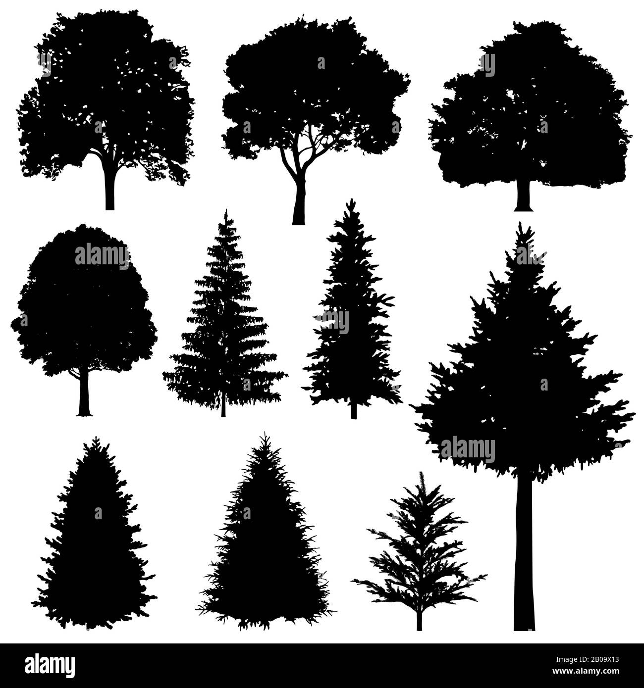 Forest coniferous and deciduous fir trees vector silhouettes set. Evergreen tree plant, illustration of silhouette wood tree Stock Vector