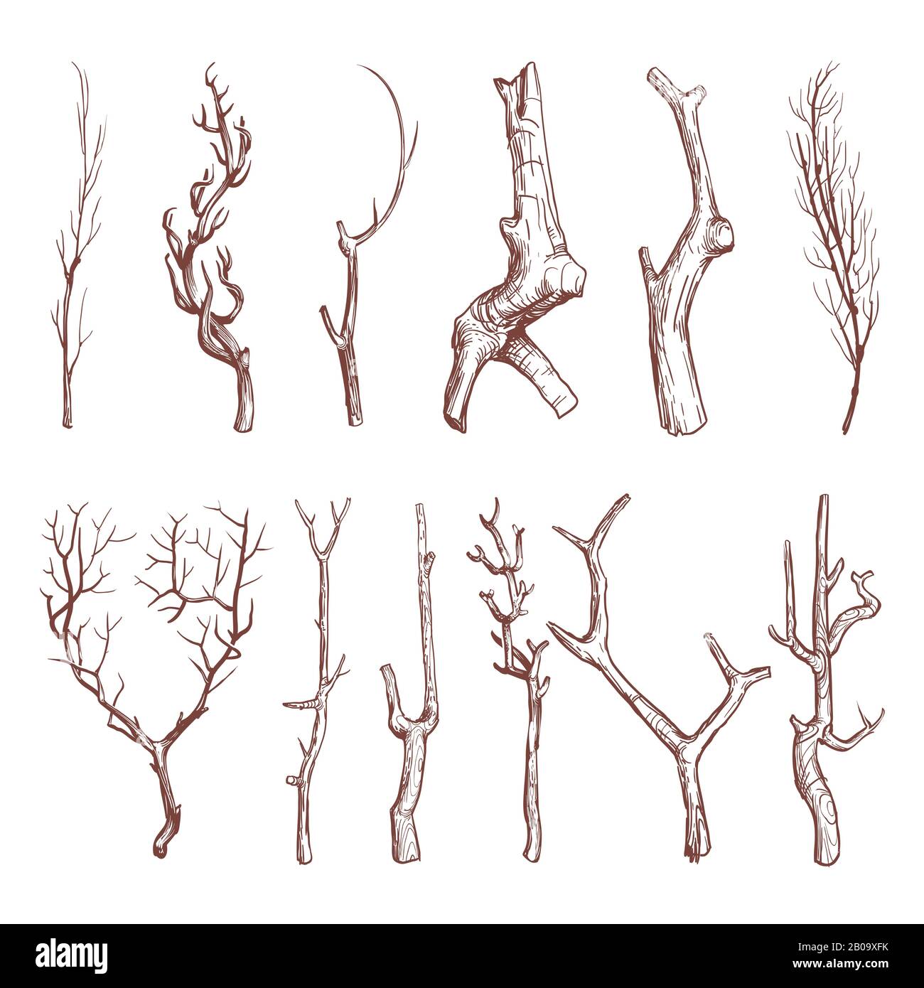 Sketch Wood Twigs Broken Tree Branches Vector Set Botany Wood Twig Collection Of Sketch Dry Twig Limb Illustration Stock Vector Image Art Alamy