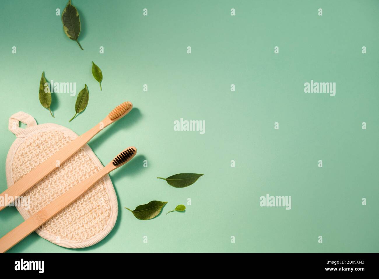 Two bamboo brushes for brushing teeth, light dark pile. Zero waste Stock Photo