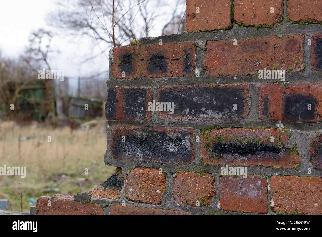 Old broken brick wall on waste ground Stock Photo