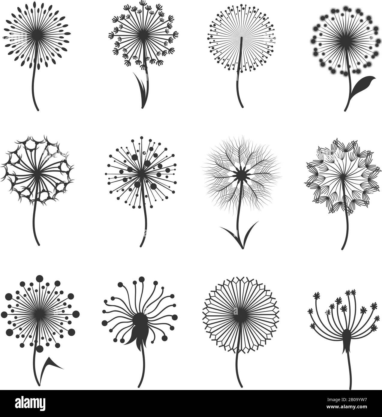 Dandelion flowers with fluffy seeds black floral vector silhouettes isolated on white. Blowball fragile and illustration of black blowball fluffy Stock Vector