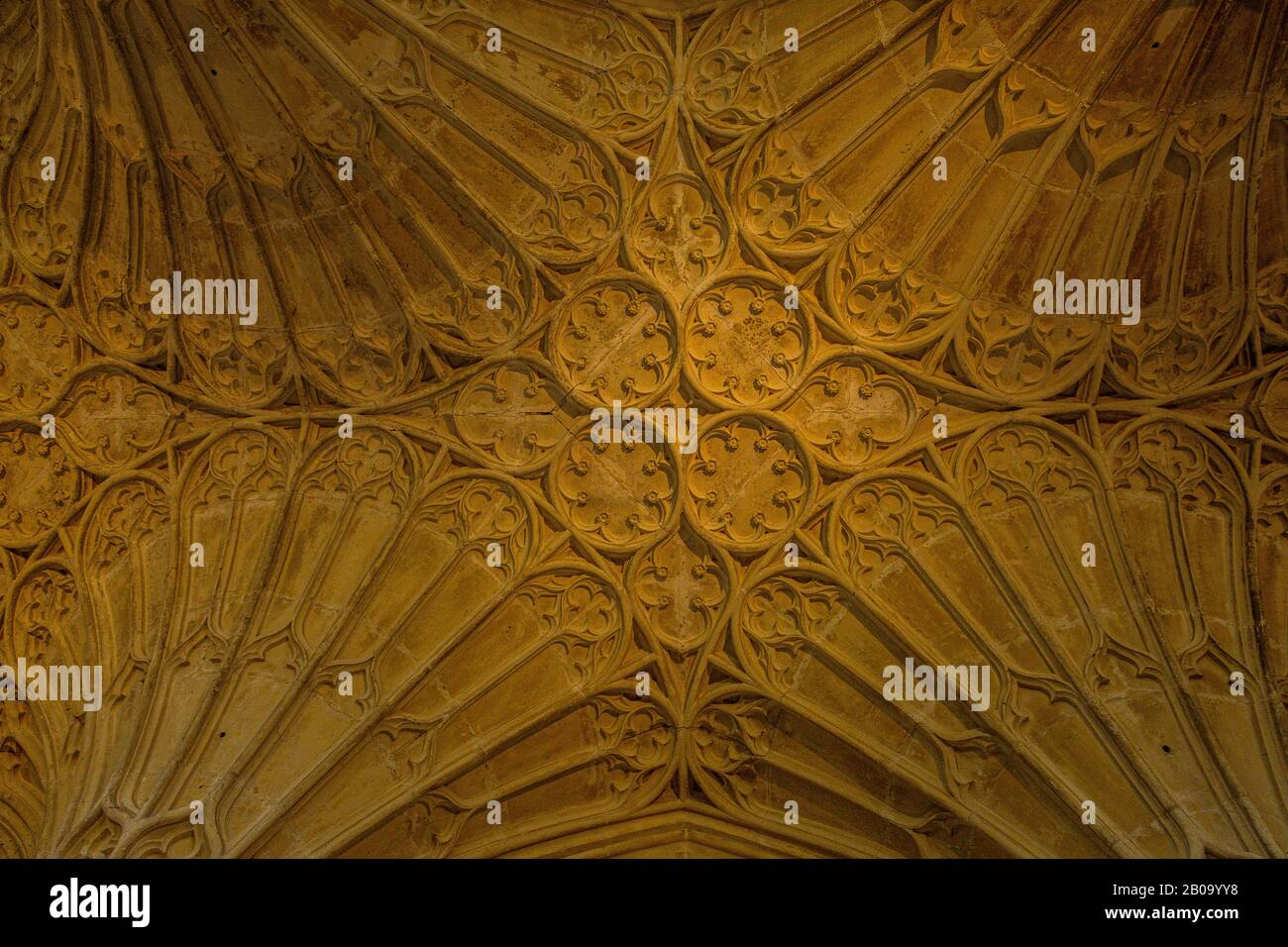 Gloucester Cathedral Cloisters have wonderful fan vaulted ceilings dating from the 14th Century. Stock Photo