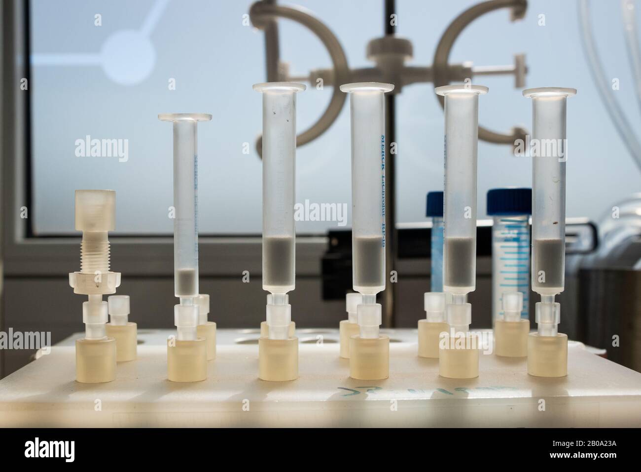 Test tubes in a lab Stock Photo Alamy