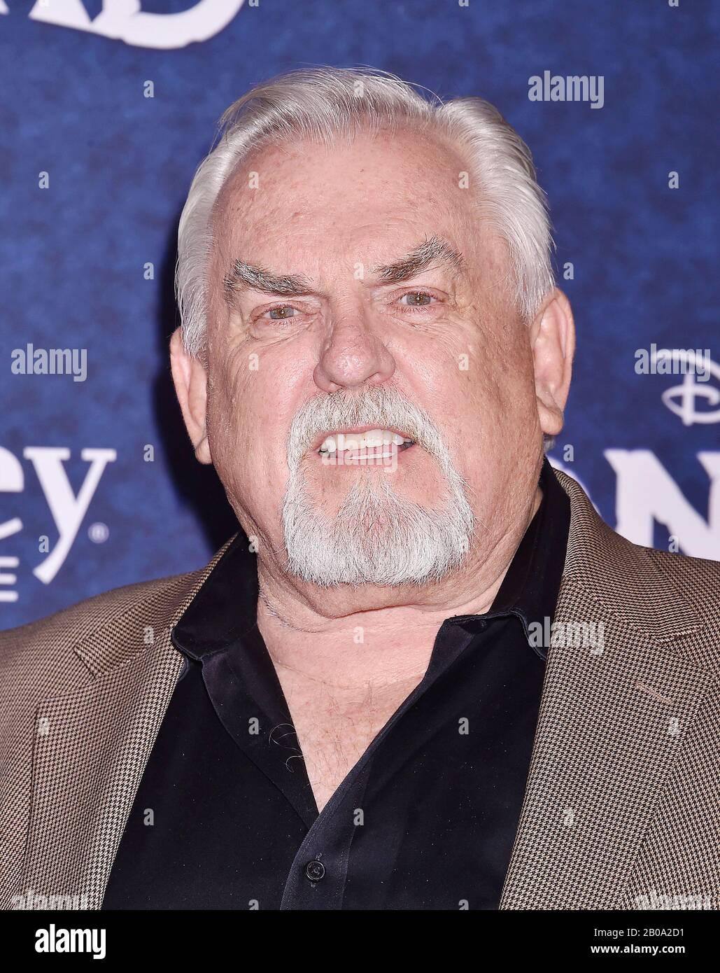 HOLLYWOOD, CA - FEBRUARY 18: John Ratzenberger attends the Premiere Of