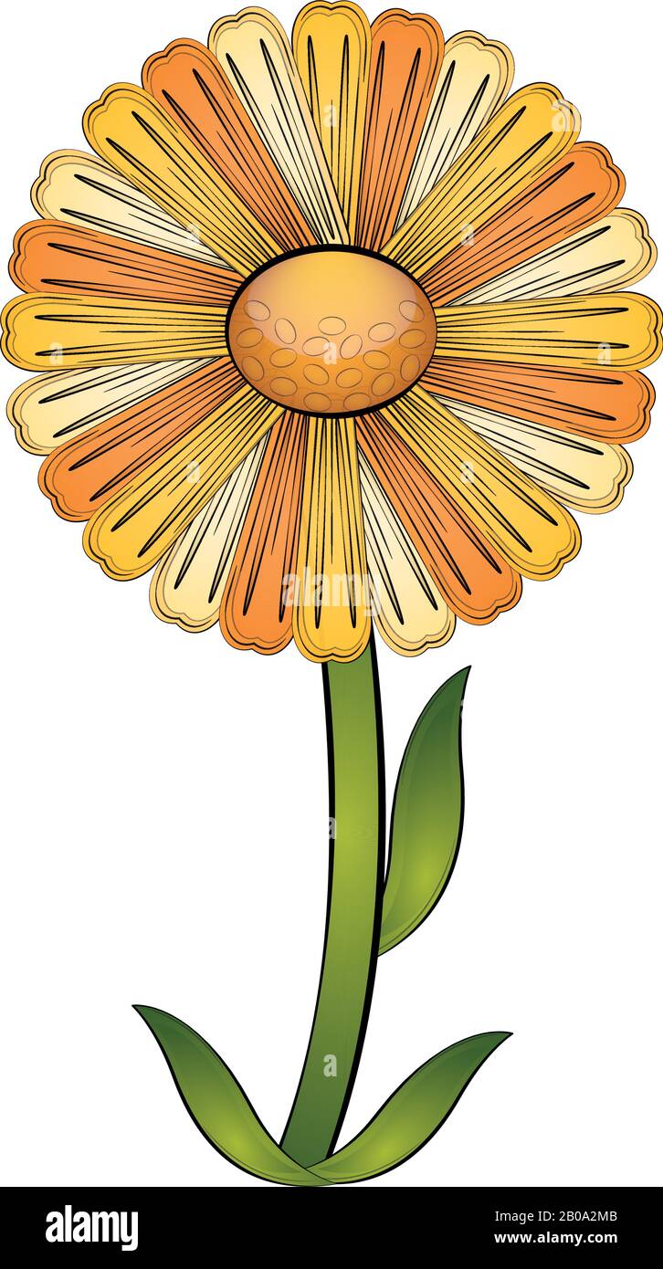 Isolated beautiful daisy flower Stock Vector Image & Art - Alamy
