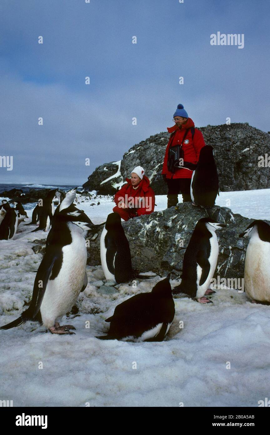 ANTARCTICA, NELSON ISLAND, SOUTH  SHETLAND ISLANDS, TOURISTS WATCHING CHINSTRAP PENGUINS--RELEASE 43/44 Stock Photo
