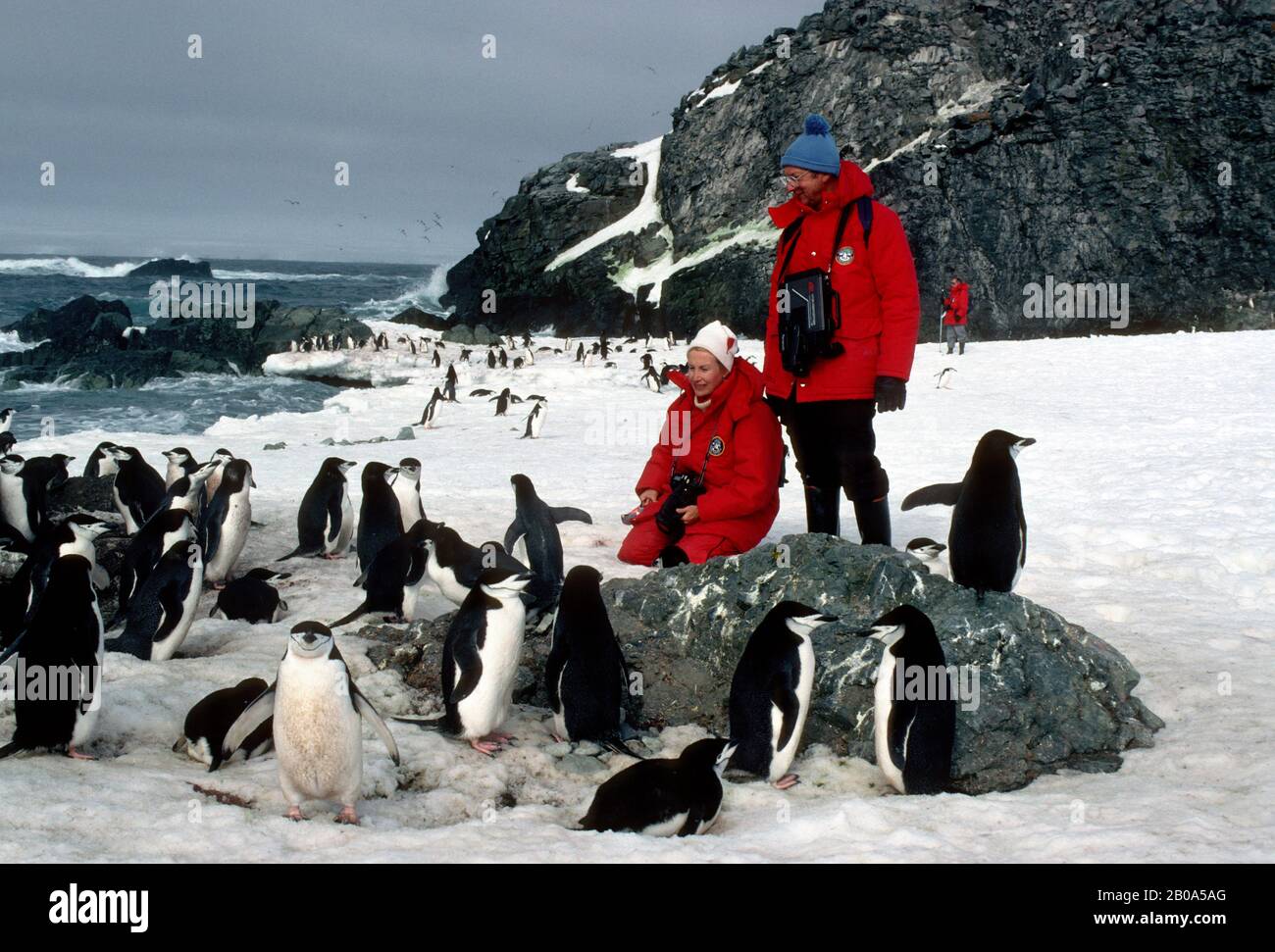 ANTARCTICA, NELSON ISLAND, SO. SHETLAND ISLANDS, TOURISTS WATCHING CHINSTRAP PENGUINS--RELEASE 43/44 Stock Photo