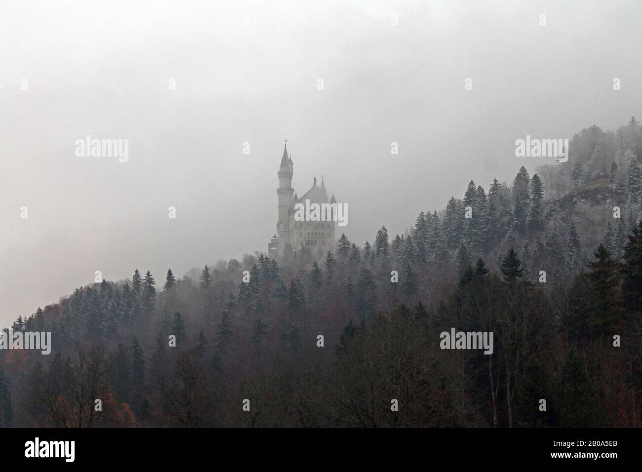 Neuschwanstein castle with the winter fog Stock Photo