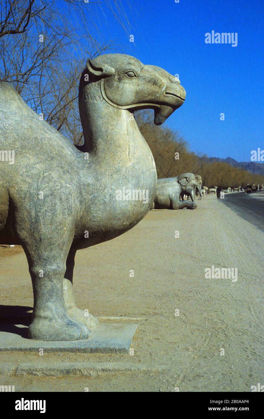 CHINA, PASSAGEWAY TO THE MING TOMBS, SACRED WAY, GIANT ANIMALS CARVED OF STONE Stock Photo
