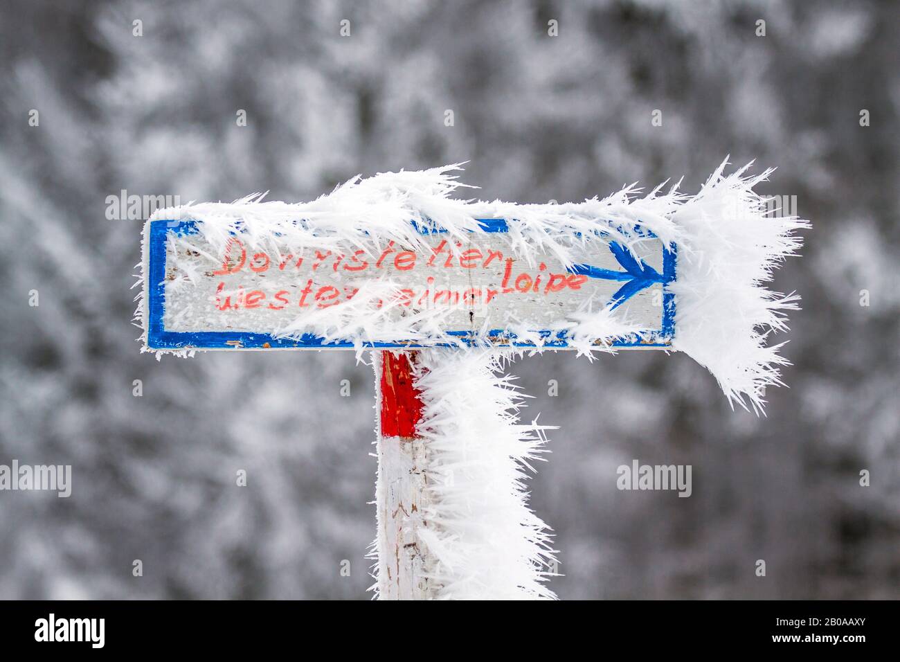 hoar frost on a direction sign, Germany Stock Photo