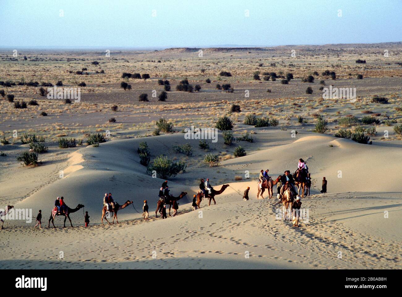 INDIA, RAJASTHAN, GREAT INDIAN (THAR) DESERT, NEAR JAISALMER, SAND DUNES IN EVENING LIGHT, TOURISTS ON CAMELS Stock Photo
