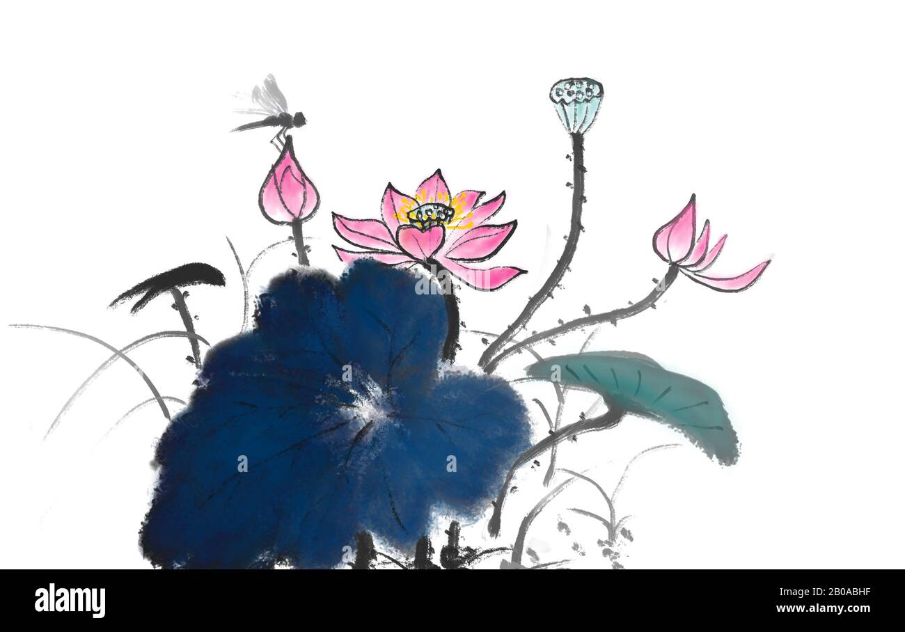 Lotus flower Chinese ink painting Stock Photo Alamy